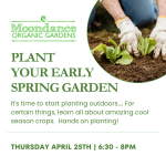 Plant Your Early Spring Garden