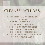 Cleanse includes